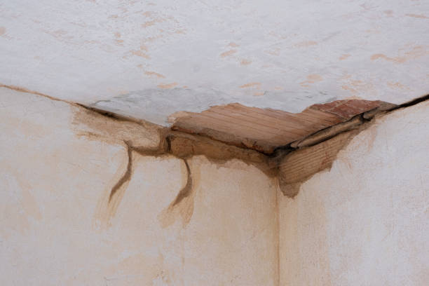 Best Mold removal after water damage  in Phoenix, NY