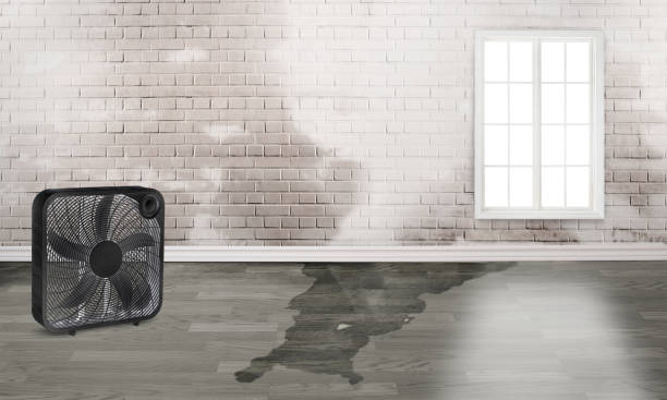 Best Local water damage restoration  in Phoenix, NY