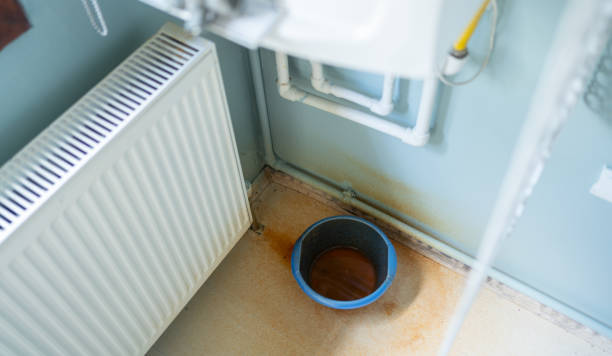 Best Carpet water damage restoration  in Phoenix, NY