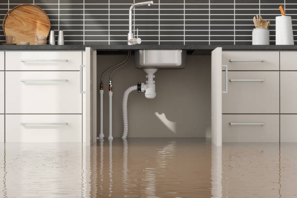 Best Flood damage cleanup  in Phoenix, NY