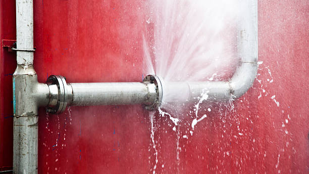 Best Professional water damage repair  in Phoenix, NY