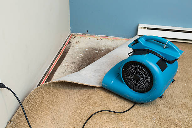 Best Mold removal after water damage  in Phoenix, NY